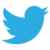 social media twitter icon